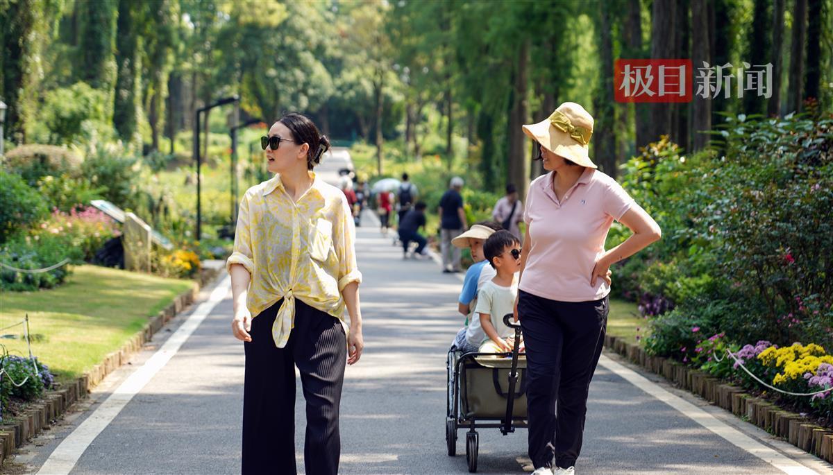 太阳城古天乐